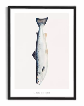 Ørred Kromolitografi poster